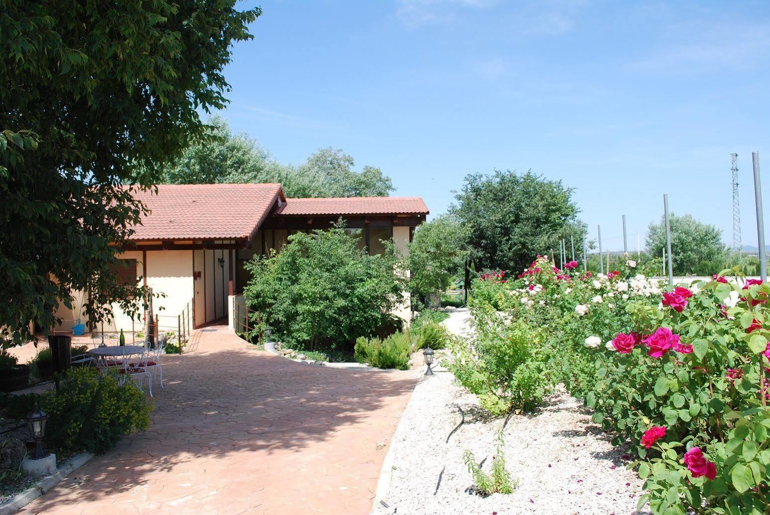 Pago De Tharsys Guest House Requena Exterior foto